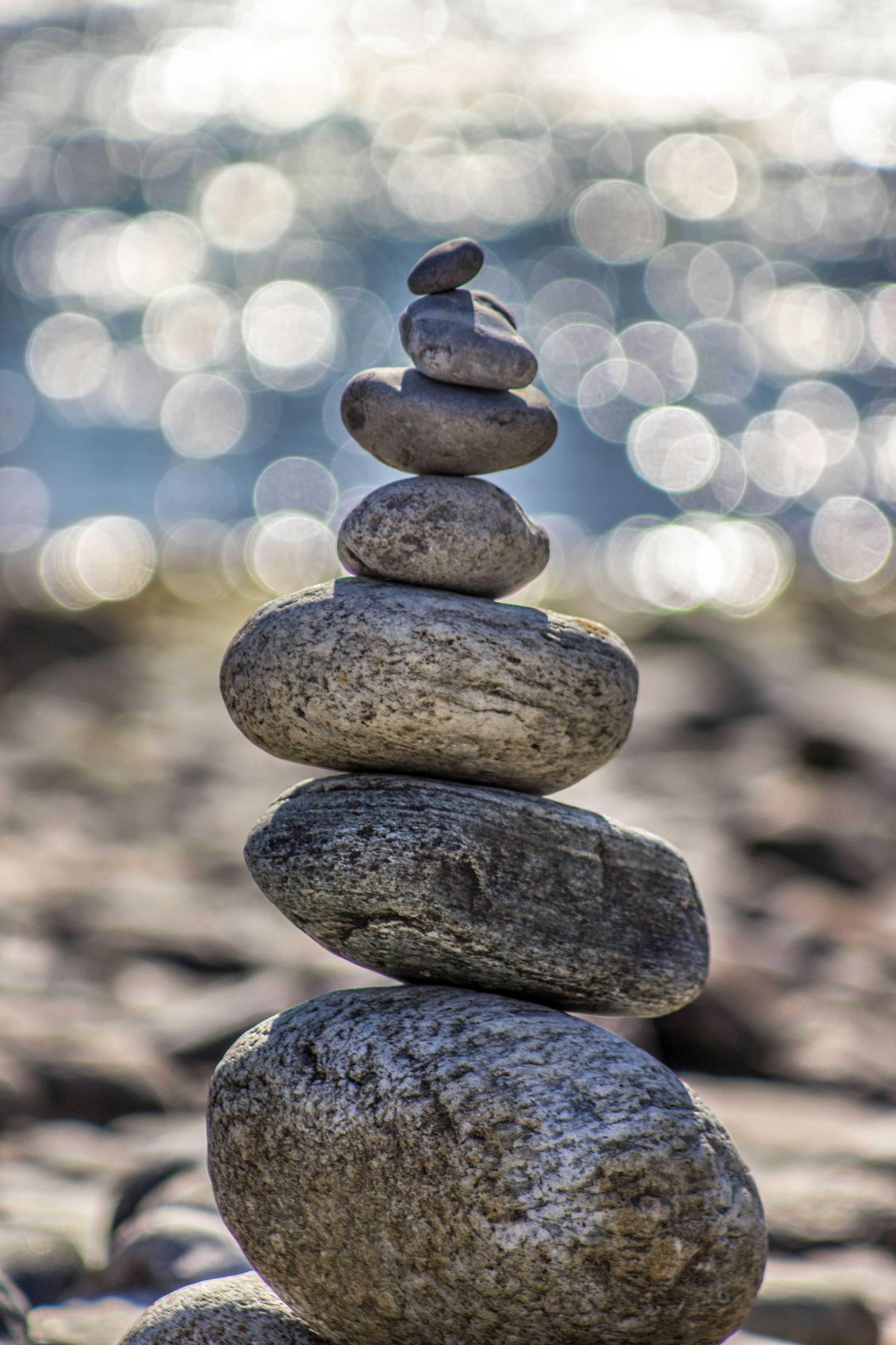 Professional Wellness Programmes